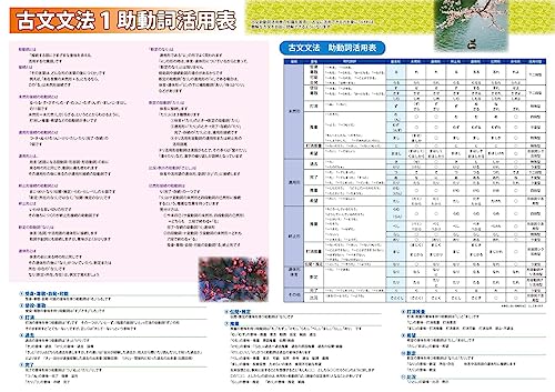 proceedx中学学習ポスター10043古文文法1助動詞活用表国語 A2中学 高校 受験 暗記 日本製 折り目なし送付 10043