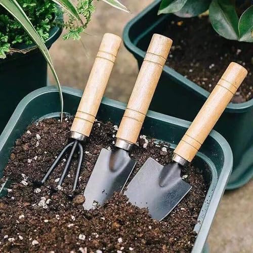 Set 3 Herramientas de Jardinería para Aflojar Tierra miniatura 6