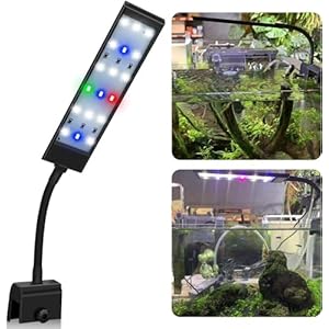LED Aquarium Light Clip On Fish Tank Lighting Small Mini Fish Tank Aquarium Light White Blue Green and red led