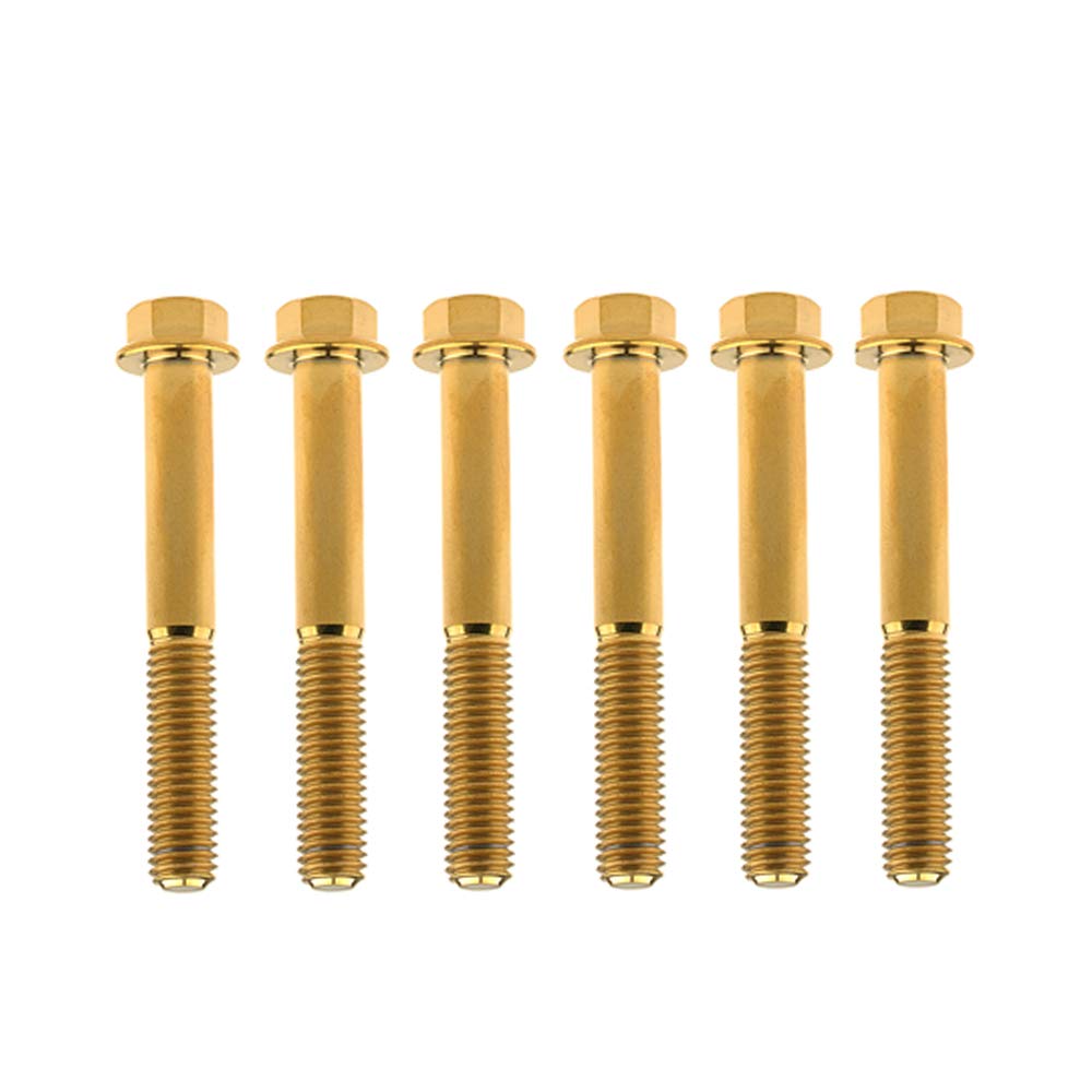 DWAMMEBRS M8x15-65mm Flange Hex Head Screws Pich 1.25mm Pack of 6 for Motorcycle Bike Parts(Gold,M8x60mm)