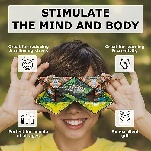 Image of Shashibo DODECA Magnetic Puzzle Cube, Sensory Fidget Toy for Adults & Kids, Stress Relief Fidget Toy for All Ages, Cool Fidget Toys for Desk, Shape Shifting Box, 100+ Possible Shapes