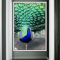 Framed Canvas Wall Art Single Bird Birds Expressive Farmhouse/Country Multicolor Photography Portrait Single - 16x24 inches