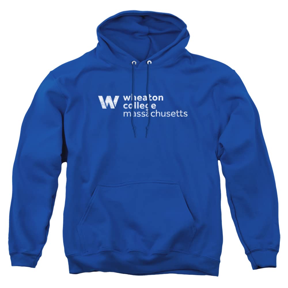 LOGOVISION Official Collegiate Distressed Primary Logo Adult Pullover Hoodie Collection — view 385