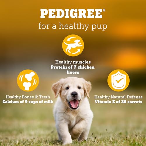 Image of Pedigree Puppy Dry Dog Food, Chicken & Milk, 10 kg, Contains 37 Essential Nutrients, 100% Complete & Balanced Food for Puppies