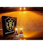 Amazon | 【2026年モデル】ロイヤルガード Ω(オメガ)シリーズ LED