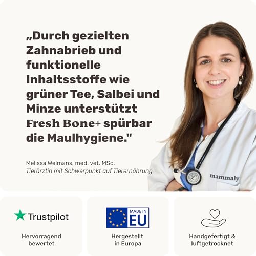 4-in-1 Zahnpflege-Kauknochen - Fresh Bone+ 1x Kauartikel (12cm) von mammaly - Kaustange aus Rinderhaut mit Salbei, Minze & Grüner Tee u.v.m. zur Mundhygiene - Kauspielzeug / -Knochen gegen Mundgeruch