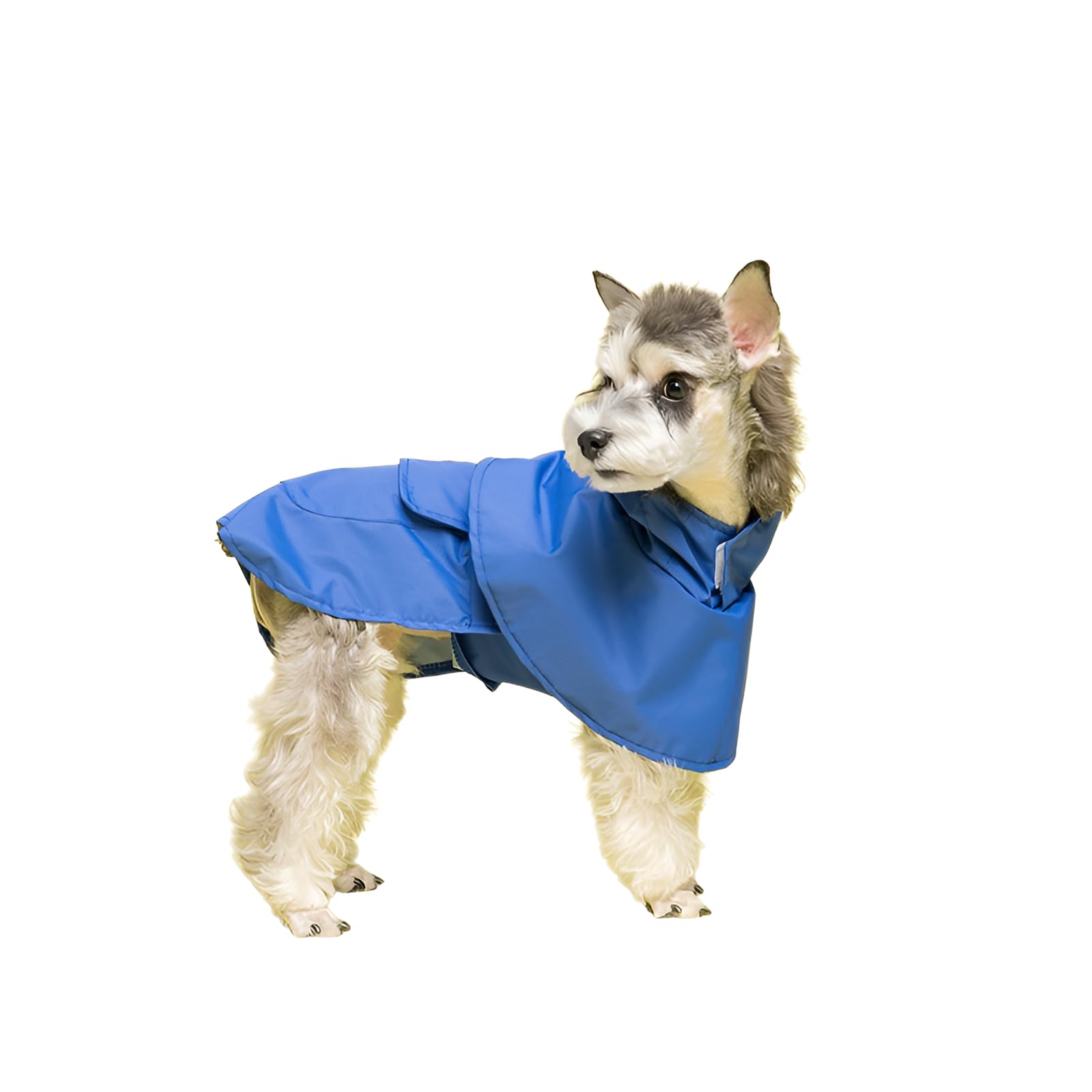 デロリアンズ　犬用 防水レインコート 青 フード付きSサイズ DeLoreansオリジナル犬用レインコート