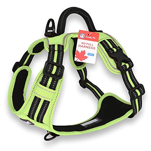 CUDDLY PET, Dog Harness No Pull, Walking Pet Harness with 2 Metal Rings