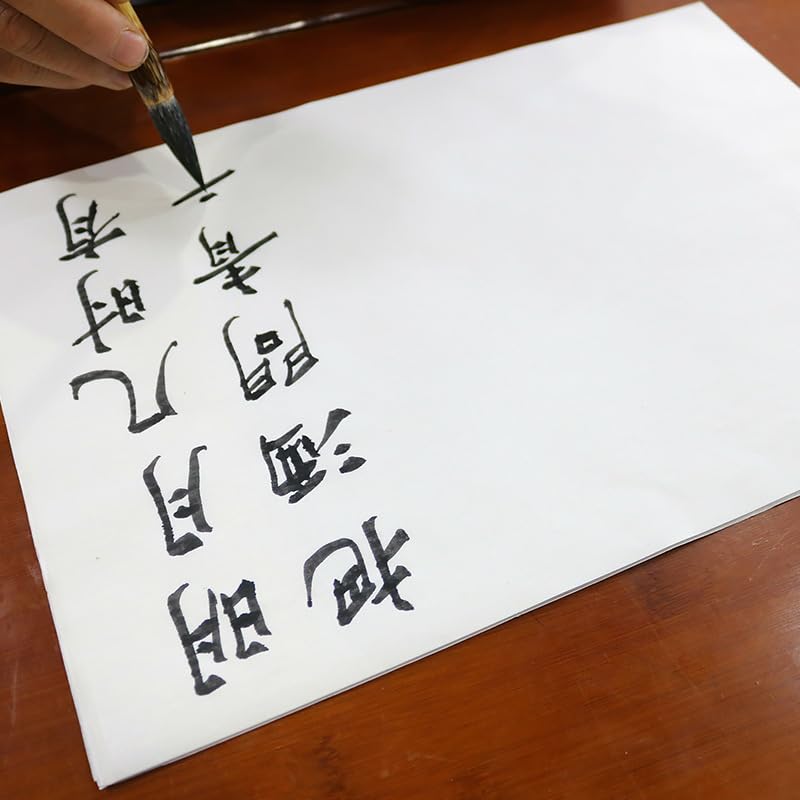 Amazon.co.jp: DONGZHIBIN 中国の模写工芸品書道の練習画材初学者兼毫