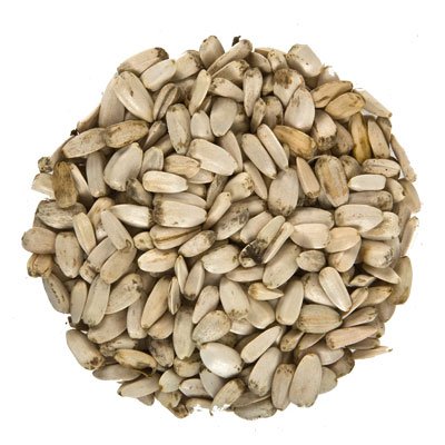 aquariumpflanzen.net 3kg Sonnenblumenkerne Weiss, Vogelfutter Cover