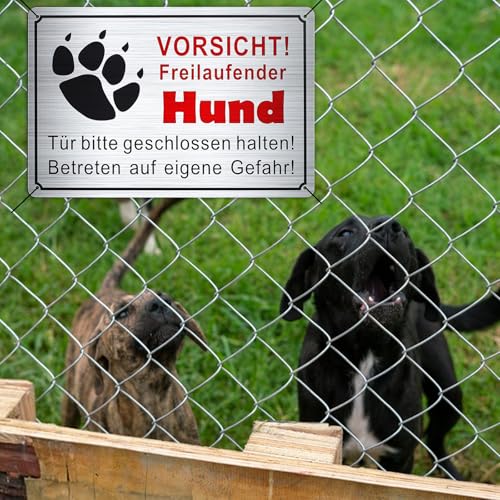 GTNCE 2 Stück Vorsicht Hund Schild 30x20cm, Warnung vor dem Schilder, Freilaufender Hund Schild Metall, Achtung Hunde, Witterungsbeständig und Stabil, Hundeschilder für Innen & Außen