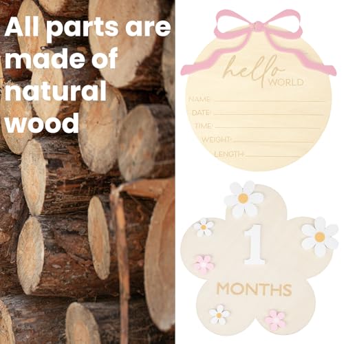 Image of Wooden Baby Announcement Sign & Baby Monthly Milestone Sign Set, Birth Announcement & 1-12 Months Interchangeable Discs for Newborn Girls Photo Props (Pink Numbers)