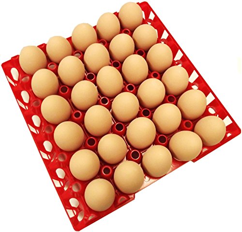 Rite Farm Products 12 30 Egg Poly Chicken Trays Shipping Carton Poultry Flat