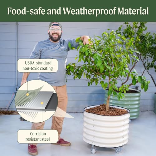 Image of Rolling Metal Citrus Tree Planter Pot, 24″ Round Planter Box for Porch Patio & Backyard, 30 Gallon Large Planter Pot with Wheels for Growing Olive Trees Tomatoes Vegetables and Flowers, Modern Gray