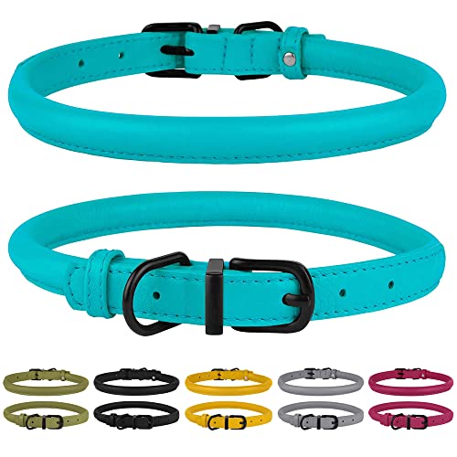 Top 10 Best Rolled Leather Dog Collar Reviews & Buying Guide Katynel