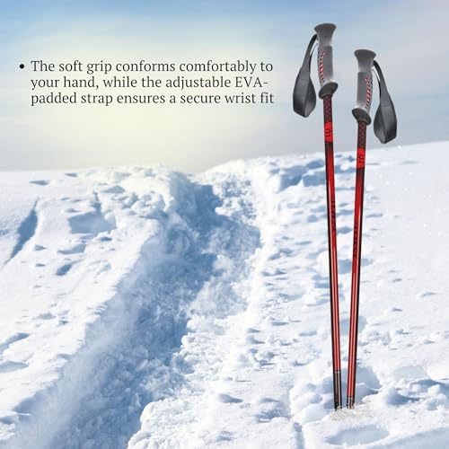 image for 5th Element Stealth 2 Ski Poles for Adults-Designed for Snow Skiing-Do