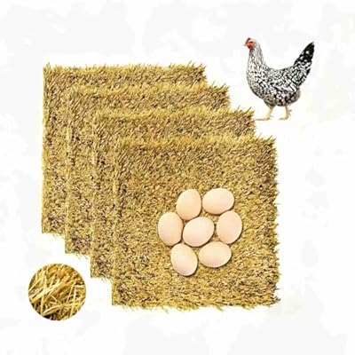 AuroVyxx Chicken Nesting Box Pads 4 Pack 12x12 Inch - Waterproof Washable Hen Nesting Pads, Easy Clean Reusable Nest Boxes Liners, Fake Grass Mat Artificial Indoor Turf with Drain Holes