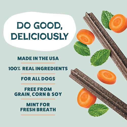 Image of Shameless Pets Carrot & Mint Dental Chews for Dogs, 32 Chews - Natural Dog Teeth Cleaning Treats with Fresh Breath Benefits | Grain-Free Dental Sticks for Small, Medium & Large Dogs