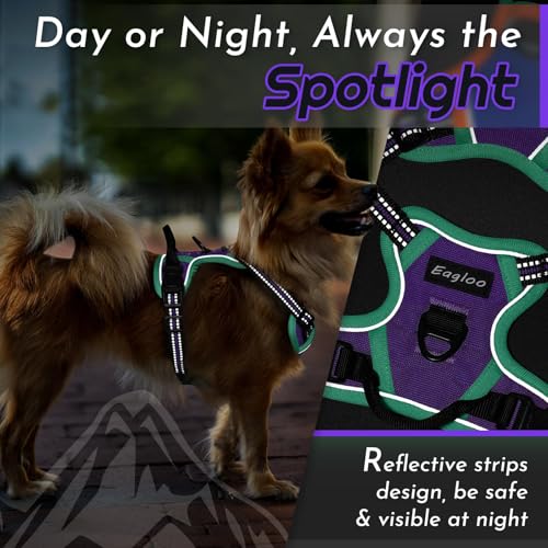 Image of Eagloo Dog Harness for Small Dogs, No Pull Pet Vest with 2 Leash Clips