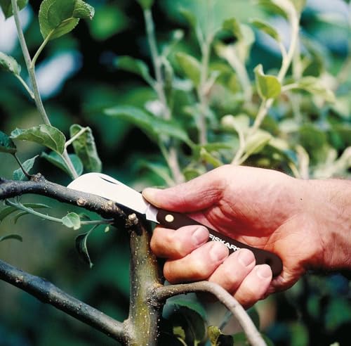 Fiskars Gartenhippe, Taschenmesser, Gesamtlänge: 17 cm, Rostfreier Stahl, Schwarz, K62, 1001623