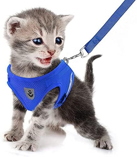 Image of FEimaX Dog Harness and Leash Set for Walking, Soft Mesh Adjustable Easy Control Lightweight Cat Vest Harnesses with Reflective Strips, Escape Proof Small Dogs Cats Vests (Blue, Small)