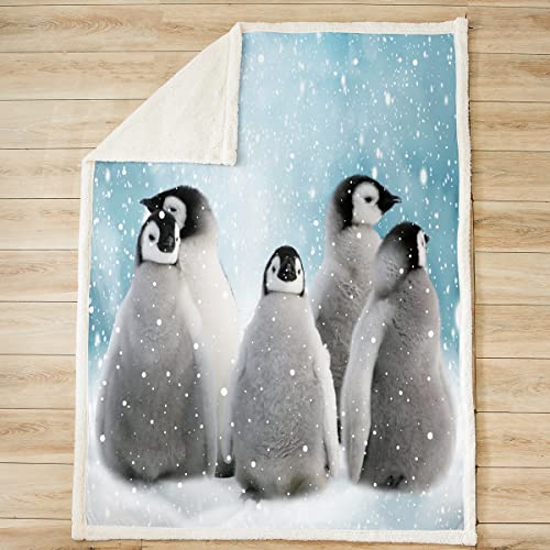 Loussiesd Penguin Sherpa Blanket Cute Penguin Plush Blanket Funny Animal Fleece Throw Blanket for Bed Sofa Kids Cute Polar Animal Pattern Warm Fuzzy Blanket Ultra Soft Double 60x79 Inch - Image 2