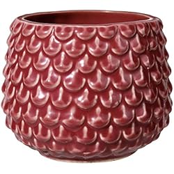 Flores Para Maceteros Pequeños BLOOMINGVILLE Maceta Pinecone - Macetero Decorativo Redondo para Flores e Plantas para Interiores S (9,5 cm ø), Rojo, Cerámica