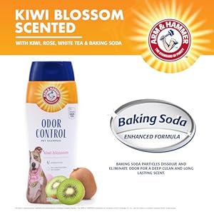 Arm & Hammer Super Deodorizing Shampoo For Dogs – Odor Eliminating Dog Shampoo For Smelly Dogs & Puppies With Arm & Hammer Baking Soda — Kiwi Blossom Scent, 20 Fl Oz,White