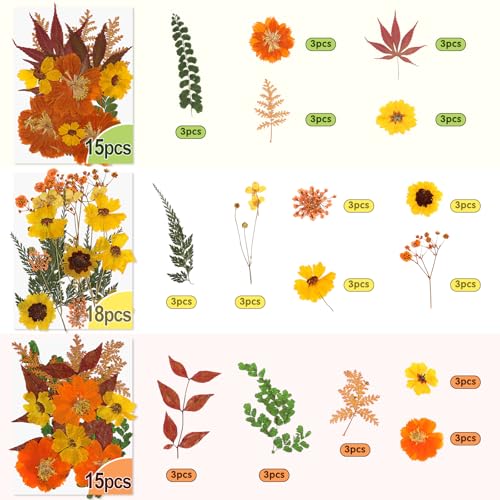 Image of Real Dried Pressed Flowers for Crafts, 100+ PCS Fall Dried Flowers Leaves Nature Flowers Florals Set with Tweezer for Resin Jewelry Making Thanksgiving DIY Candle Scrapbooking Gift (Orange, Yellow)