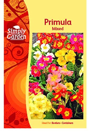 Primula Primrose Mixed Seeds Grow Your Own Flowers