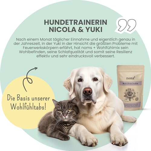 noms+ Wohlfühltabs - Beruhigungsmittel für Hunde bei Stress, Angst, Unruhe und Hyperaktivität | natürliche Entspannung mit Hanföl, Baldrian, Johanniskraut, Passionsblume & Ashwagandha