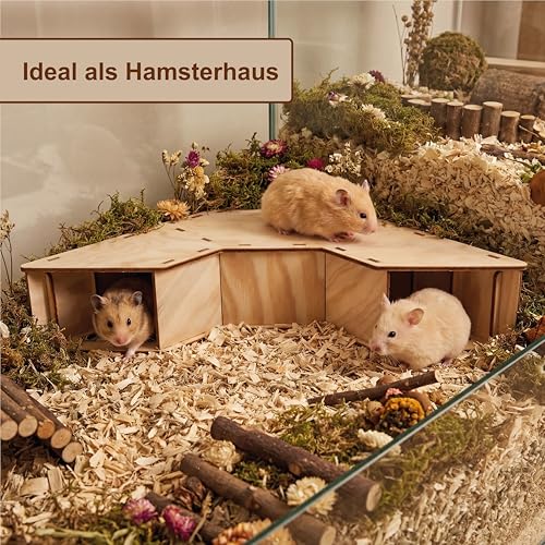 Hamstertunnel & Hamsterhaus aus Holz – DIY Watchbox zum Beobachten – Buddeltunnel & Versteckhaus für Zwerghamster & Rennmäuse – stabil, splitterfrei & einfach zu montieren
