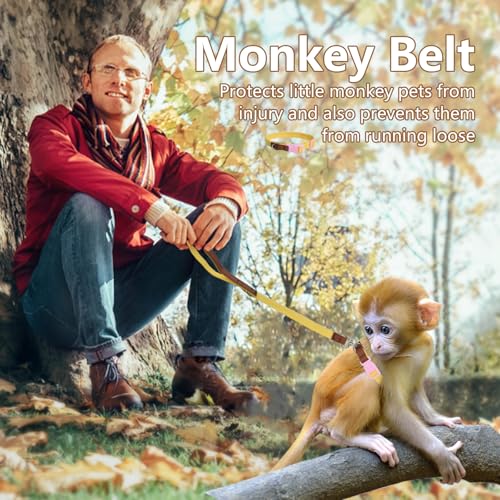 Image of Mini Monkey Leash, Adjustable Monkey Strap with Belly Bands and Matching Leash for Marmoset Monkey, Maximum Dimension 5.7 Inches for Monkey, Comfortable and Durable