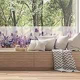 Zoom IMG-2 ambiance sticker pellicola adesiva per Zoom IMG-2 ambiance sticker pellicola adesiva per