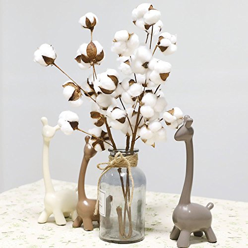 Coceca Cotton Stems - 3 Pack 10 Balls Per Stem - 23 Inch Farmhouse Display Filler-Foral Decoration - Thumbnail 5