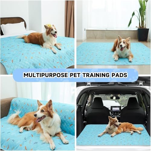 Image of Sunheir Washable Pee Pads for Dogs Large 24 inch x 72 inch 2-Pack Reusable Puppy Pads Pet Training Pads, Absorb Dog Mats, Whelping Pad, Non-Slip Protects Against Urine Leakage, Runner Rug (Leaves - Sky Blue)