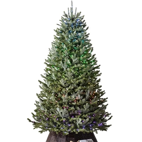 Image of Balsam Hill BH Fraser Fir - Full Christmas Tree with Most Realistic True Needle Foliage, Easy Plug Technology & Multiple Height and Lighting Options, Twinkly, 7.5ft