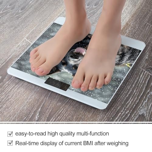 Balanza de baño digital precisa con vidrio templado 400 lb miniatura 5