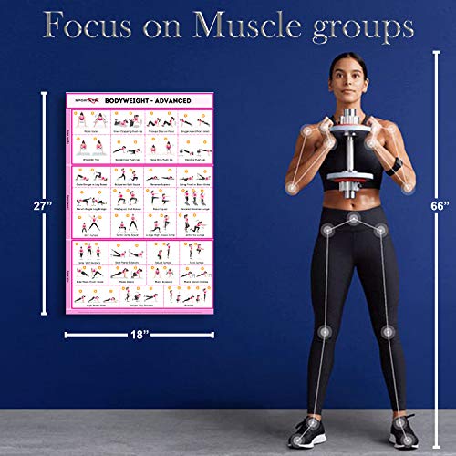 SPORTAXIS-No Equipment Laminated Bodyweight Workout Posters with Coloured Illustrations-Home Workout Poster for Men and Women-Basic and Advanced Home Training Wall Posters -18