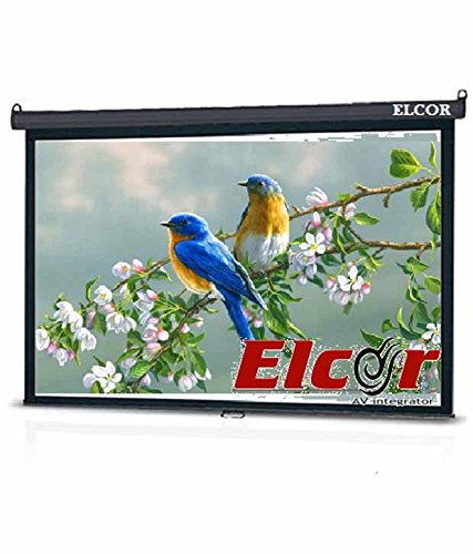 ElcorManual Projection Screens 4X6 with HYGAIN Fabric