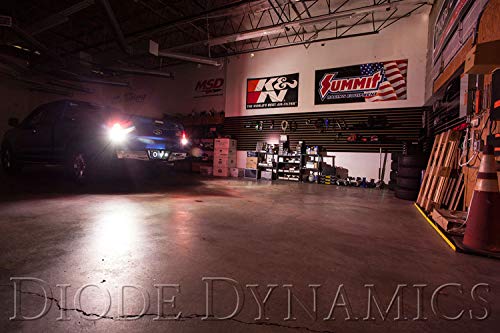 Diode Dynamics Backup LEDs para Ford F-150 2015-2023 miniatura 3