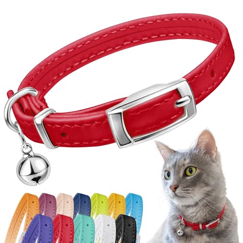 CollarDirect Collier pour Chat en Cuir de Sécurité avec Sangle Elastique et Cloche - Noir, Bleu, Rouge, Orange, Vert Lime (Rouge, 20-28 cm)
