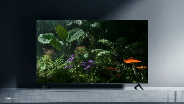 Amazon.co.jp: シャオミ(Xiaomi) チューナーレステレビ 55インチ 4K