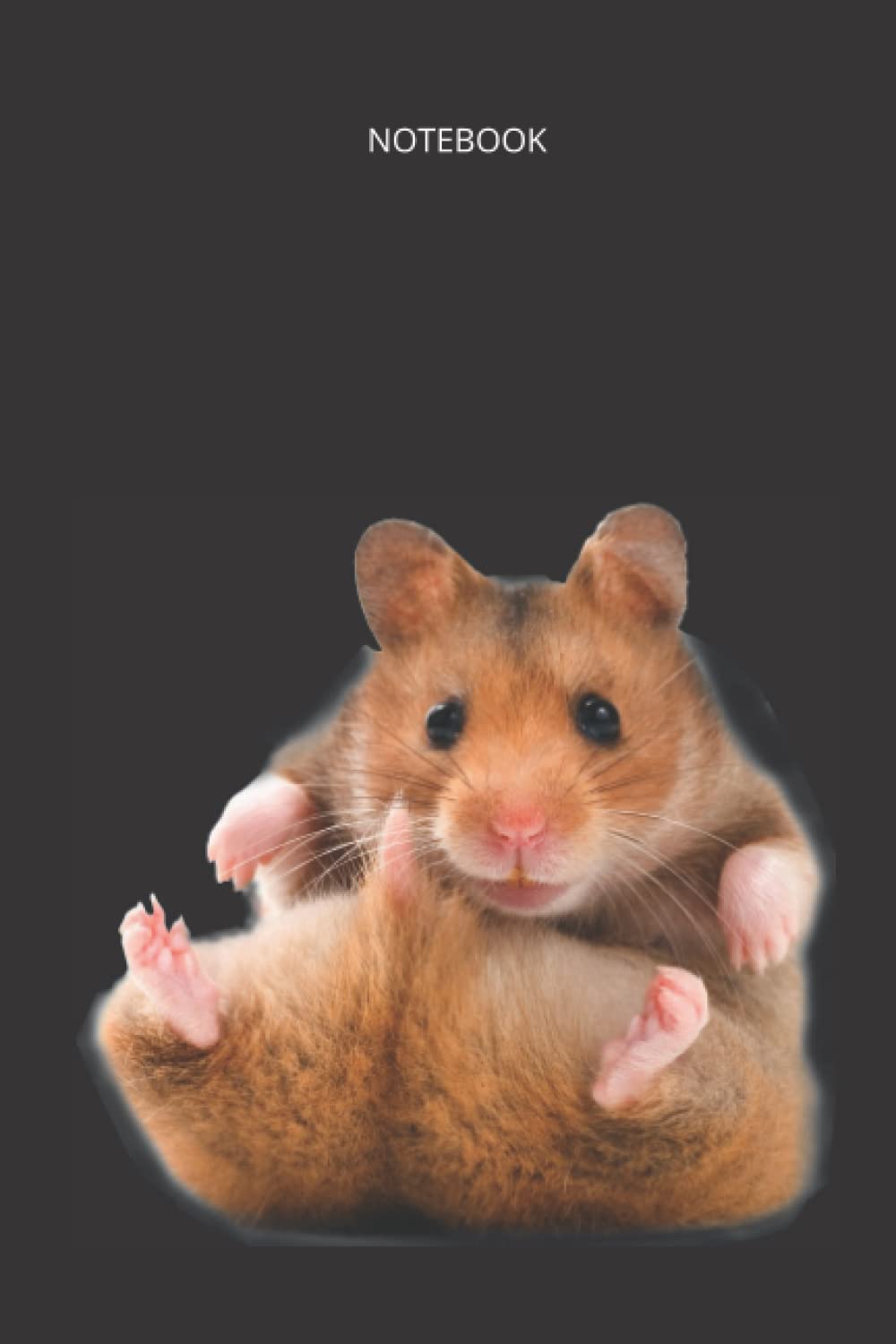 Hamster Notebook: Cute Lined Journal for People Who Love Hamsters, Perfect Gift for Birthday, Christmas or Just for Work or School