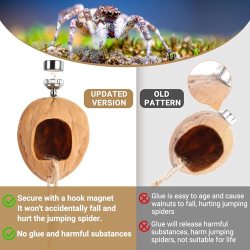Handmade Jumping Spider Hide - Spider Cage, Hide & Accessories - Walnut Skin Spider Terrarium with Magnetic Hidden Habitat | Small Animal Houses & Habitats