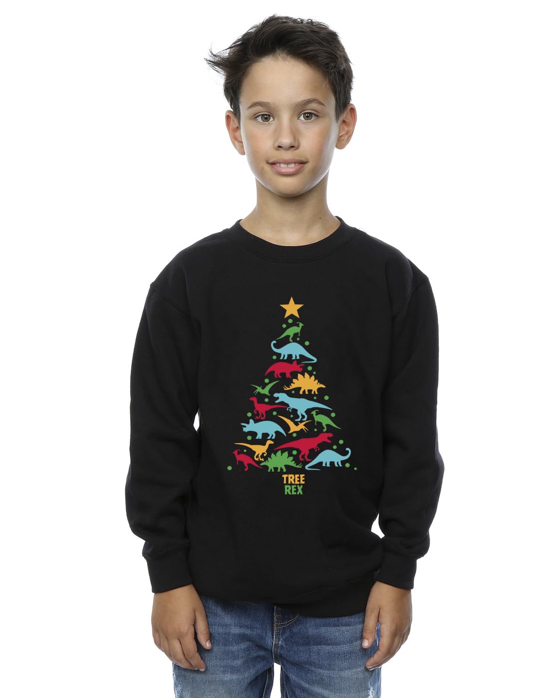 Absolute Cult Christmas Boys Dinosaur Tree Rex Sweatshirt Black 9-11 Years