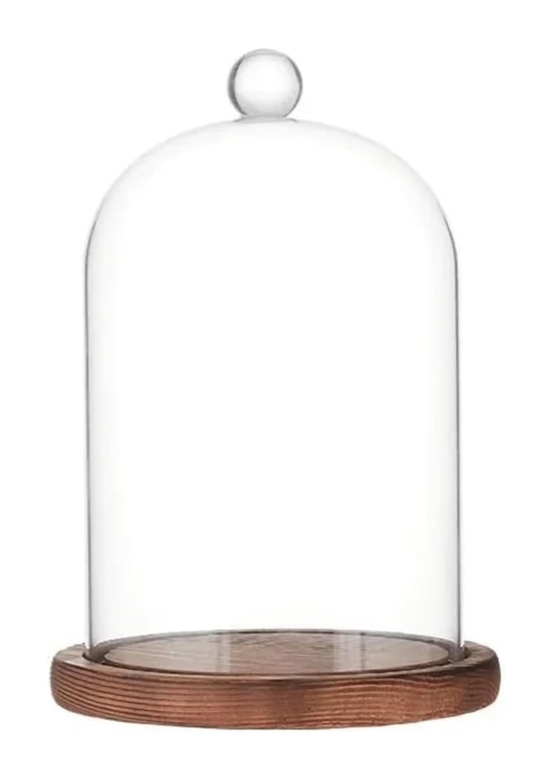 ZFPKXHVMG Glass Dome Cloche Bell Jar, Glass Cloche Dome With Wooden Base Rustic Bell Jar Clear For Plants Fairy Lights