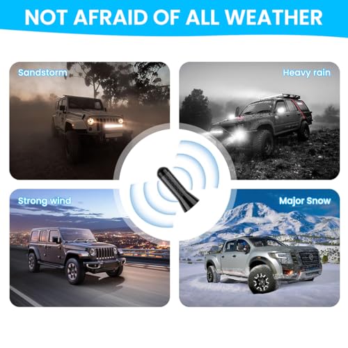 Image of STHIRA Short Antenna for Car 1.37 Inch Carbon Fiber Decorative 2PCS | Exterior Styling, Roof and Trunk Use, Compact Profile, Carbon Fiber Style Finish, Two Piece Set