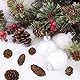 TaoQ C 40 Stücke Kiefernzapfen Dekorationen, natürliche Kiefernzapfen Bulk Paket für große mittlere und Mini Größe rustikale Kiefernzapfen Ornamente für Tabelle Weihnachtsbaum Handwerk Geschenke