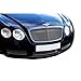 Zunsport Compatible With Bentley Continental GT Lower Grille (Grill) Set - Silver finish (2003 to 2007)